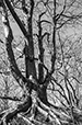 Against the Elements 14